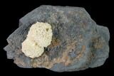 Poldervaartite Aggregation - N'Chwaning Mine, South Africa #169774-1